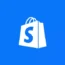 Shopify E-Commerce SEO Icon